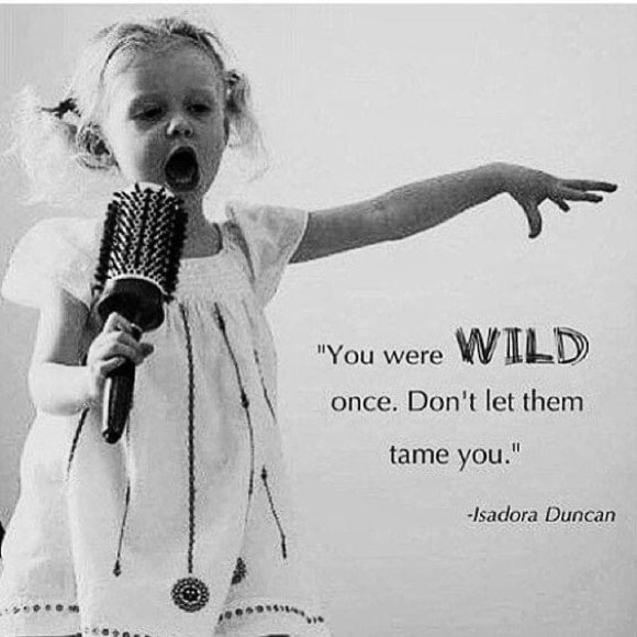 Meet your Posher, Posh - Picture 3 of 4